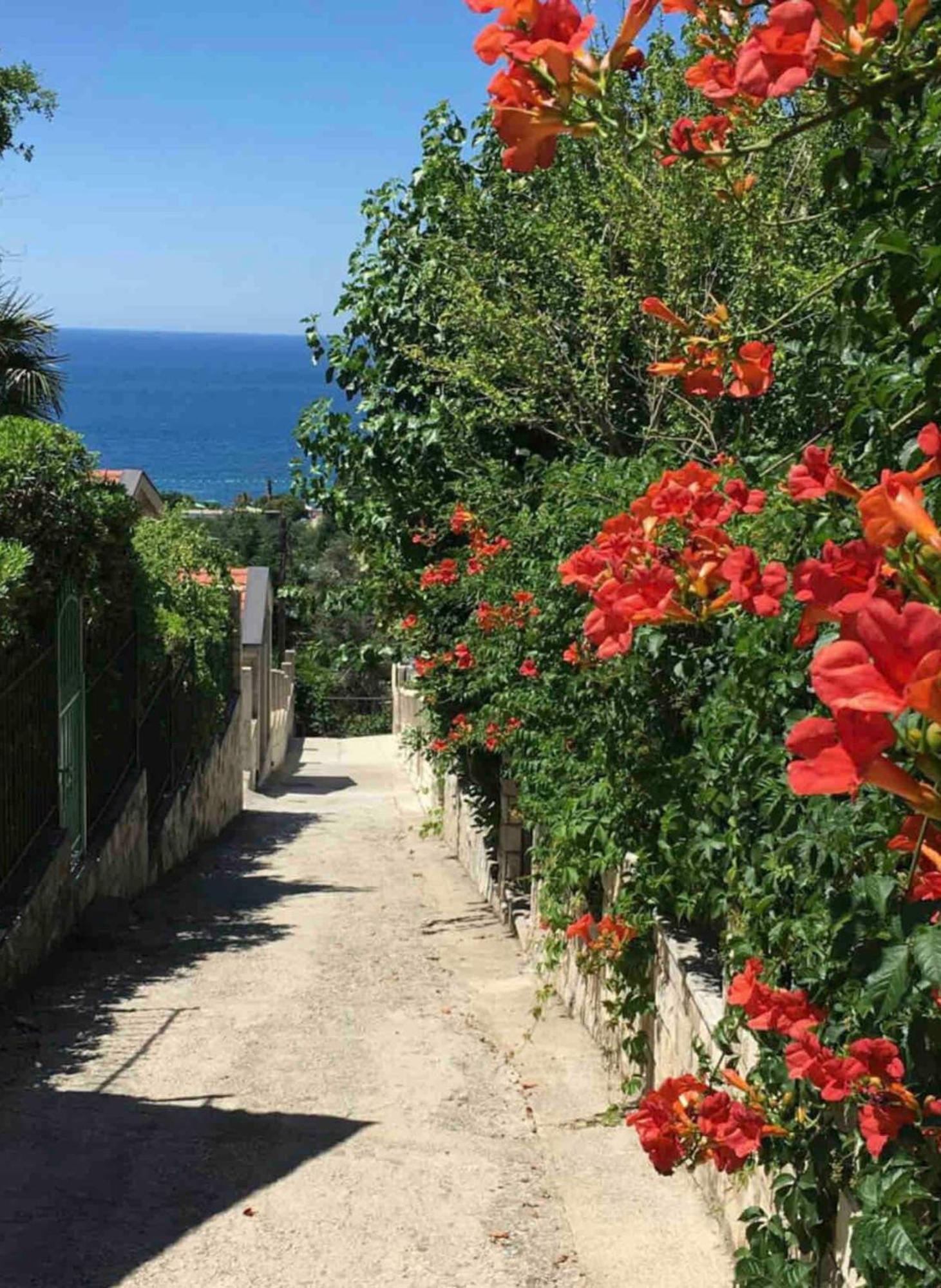 Bay View Apartments Petrovac Exteriör bild